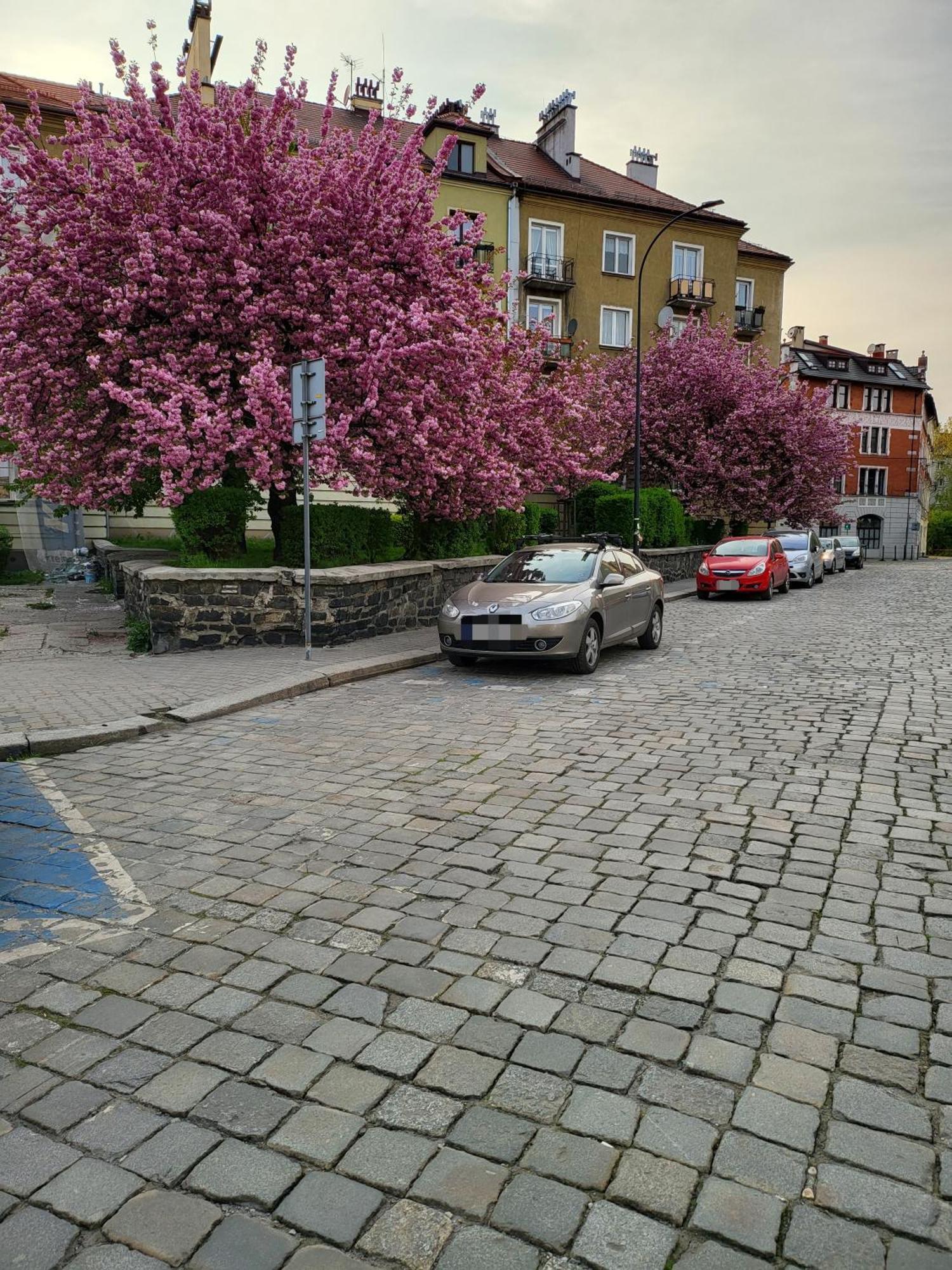 Hotel apartamentowy Premium Pretty Woman Chorzów Katowice